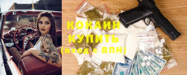 ГАЛЛЮЦИНОГЕННЫЕ ГРИБЫ Аркадак