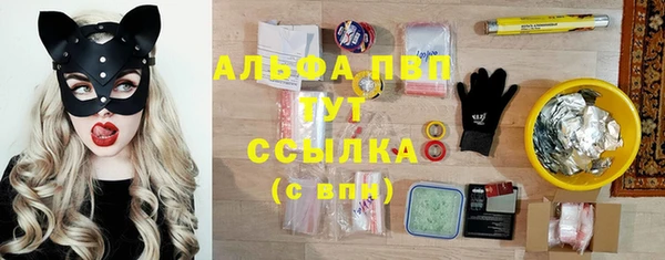 ГАЛЛЮЦИНОГЕННЫЕ ГРИБЫ Аркадак