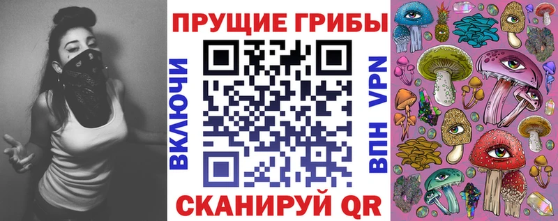 блэк спрут ссылки  Закаменск  Псилоцибиновые грибы Psilocybine cubensis 