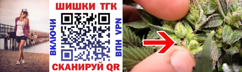 гидра ссылки  где купить наркотик  Закаменск  Конопля ГИДРОПОН 